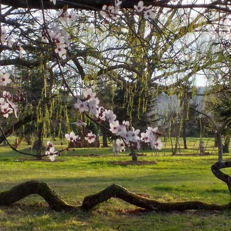 Domaine Berenguer Bed & Breakfast Ouches Exterior foto