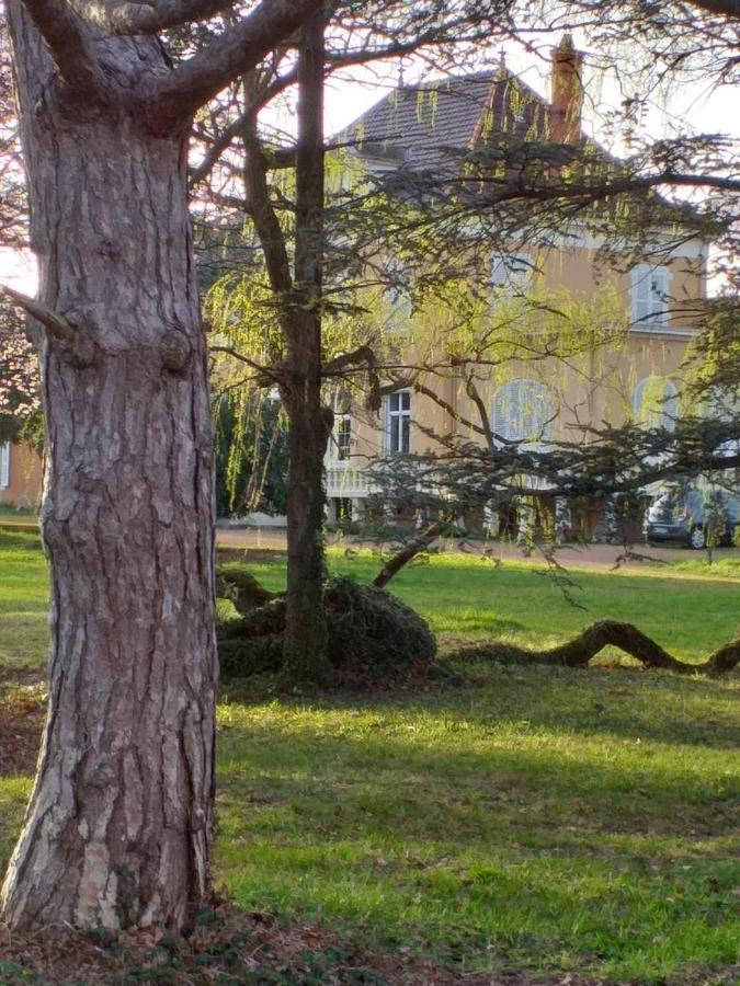 Domaine Berenguer Bed & Breakfast Ouches Exterior foto
