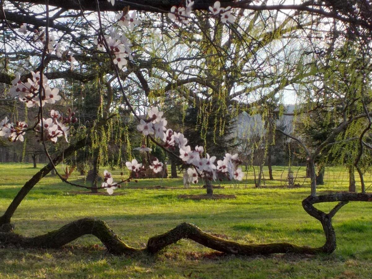 Domaine Berenguer Bed & Breakfast Ouches Exterior foto